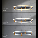 Lustre LED à double anneau : luminaire exquis