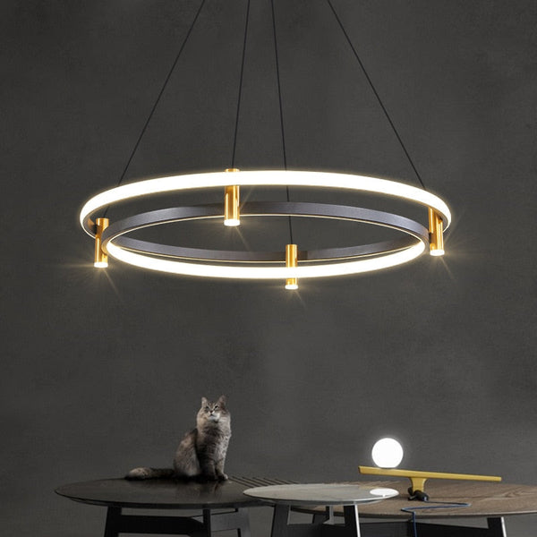 Dual Ring LED Chandelier: Exquisite Lighting Fixture-Ceiling Chandelier