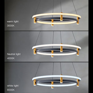 Dual Ring LED Chandelier: Exquisite Lighting Fixture-Ceiling Chandelier
