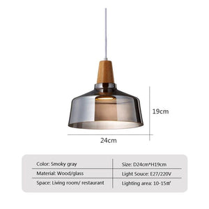 Illuminate with Elegance: Smoked Glass LED Pendant Lamp-Pendant Lights