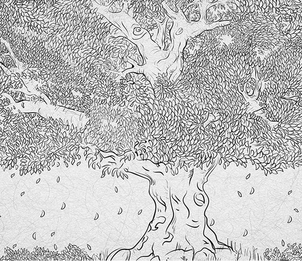 Large Tree Sketch Wallpaper Murals - Transform Your Space-Trees Wallpaper