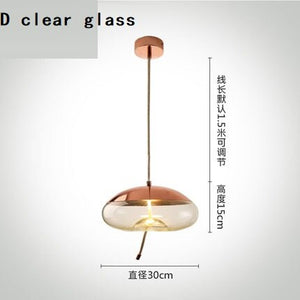 Modern Clear Smoke Glass Pendant Light-Pendant Lights