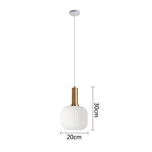 Modern Nordic Hanging LED Pendant Lights-Pendant Lights