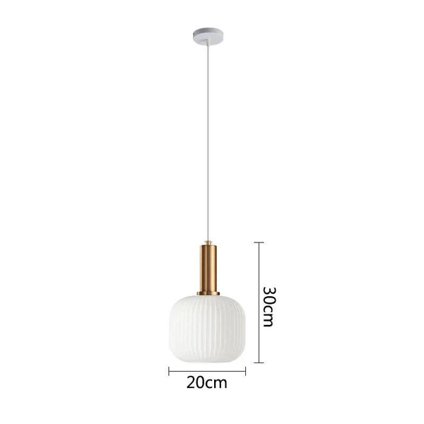 Modern Nordic Hanging LED Pendant Lights-Pendant Lights
