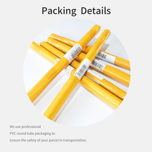 Muhammad Ali Poster: Iconic Boxing Legend-Wall Posters