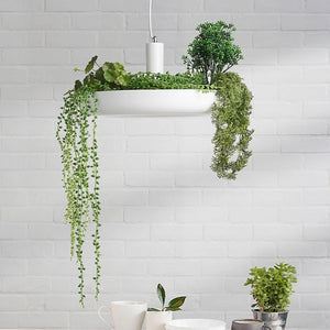 Plant Pendant Hanging Lights - Illuminate Your Space-Pendant Lights