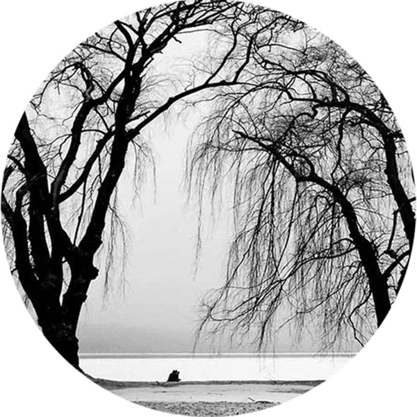 Premium Black Tree Wallpaper – Enhance Your Space-Trees Wallpaper