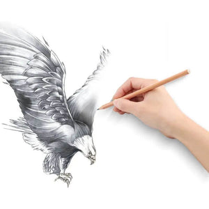 Professional Sketch Pencil Set 29 Pieces-Stencil Pencils