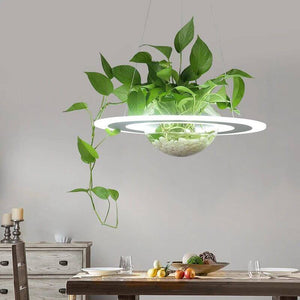 Ring Plant Pendant Lustre Planet Light-Pendant Lights