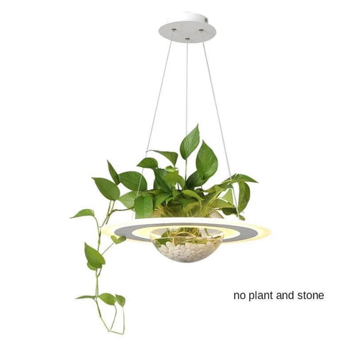 Ring Plant Pendant Lustre Planet Light-Pendant Lights