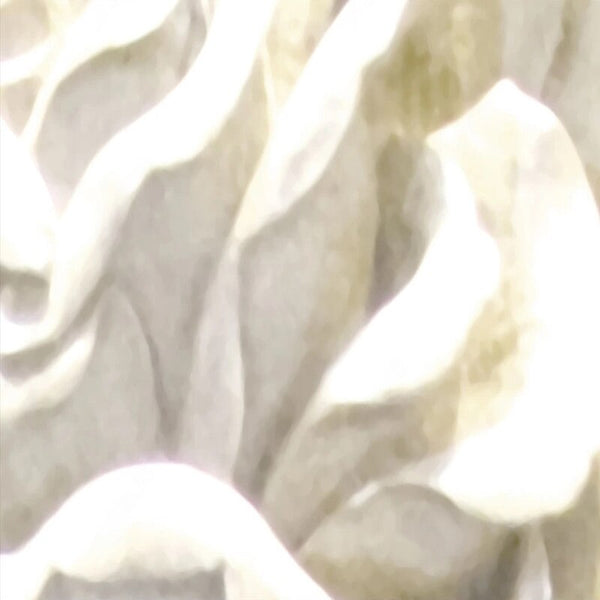 White Rose Flowers Wallpaper for Home Wall Decor-Flower & Leaf Wallpaper