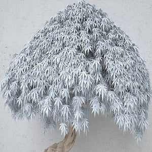 Willow Tree Mural Art Wallpaper - Home Wall Decor-Trees Wallpaper