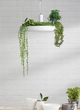 Lampes suspendues pour plantes - Illuminez votre espace