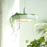 Lampes suspendues pour plantes - Illuminez votre espace