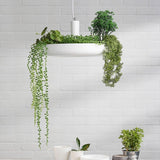 Plant Pendant Hanging Lights - Illuminate Your Space