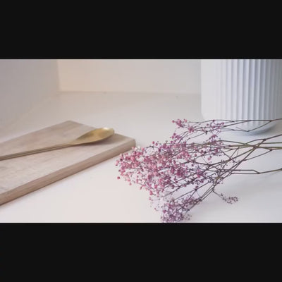 Minimalist Metal Plate Asteria Pendant Hanging Light-Pendant Lights