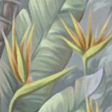 Papier peint Trees Jungle - Décor exquis inspiré de la nature