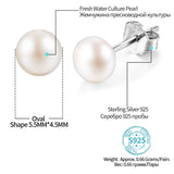 Freshwater Pearl Stud Earring: Elegant and Timeless Jewelry