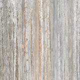 Papier peint forêt texture bois : Transformez votre espace