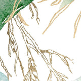 Papier Peint Panoramique Plantes Tropicales, Feuilles, Fleurs et Oiseaux