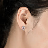 Boucles d'oreilles en argent sterling avec diamants : style exquis