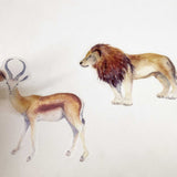 Animals Wall Decals Wall Stickers