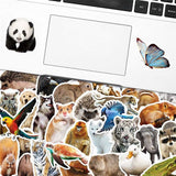 Zoo Animals Stickers Vibrant Collection for Kids